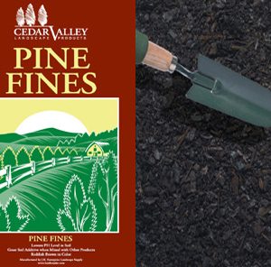 Pine fines