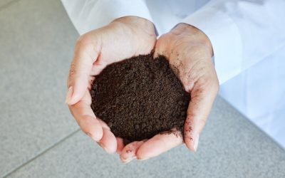 How Do I Use Topsoil?