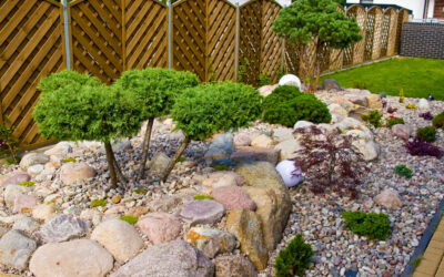 Exploring Decorative Rocks and Stones for Unique Landscaping